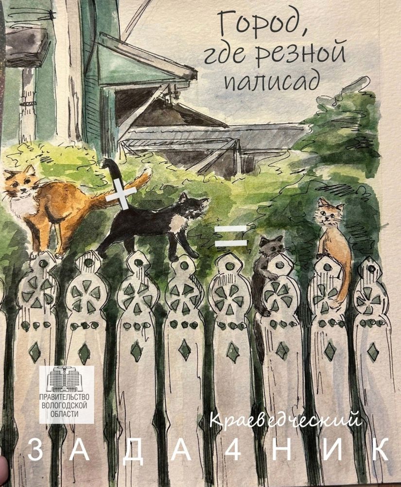 Краеведческий задачник "Город, где резной палисад" для школьников и их родителей появится в Вологде